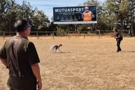 curso adiestrador perros de caza