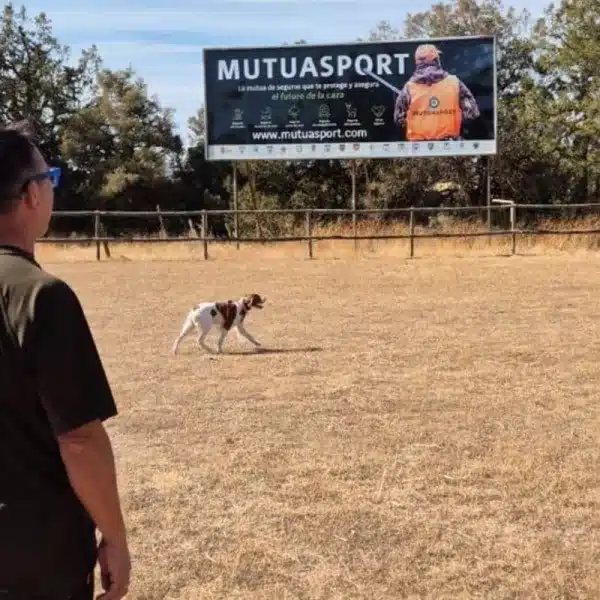 curso adiestrador perros de caza