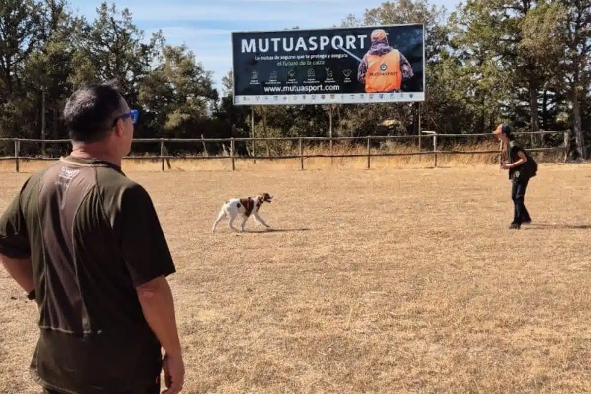curso adiestrador perros de caza