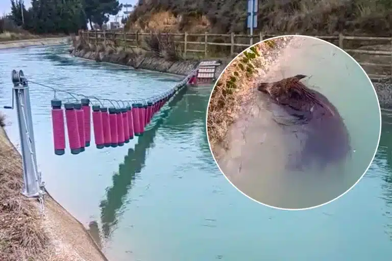 El sistema instalado por la CHE.