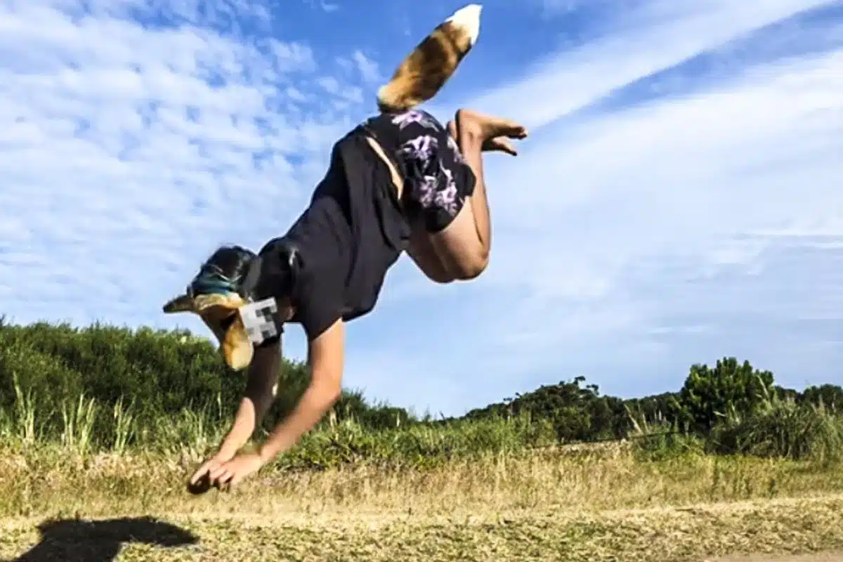 joven transespecie enseña a saltar como un zorro