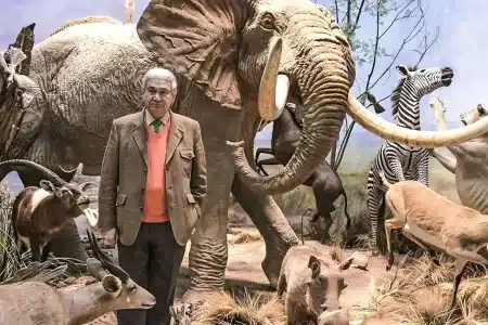 Museo de la Fauna Salvaje