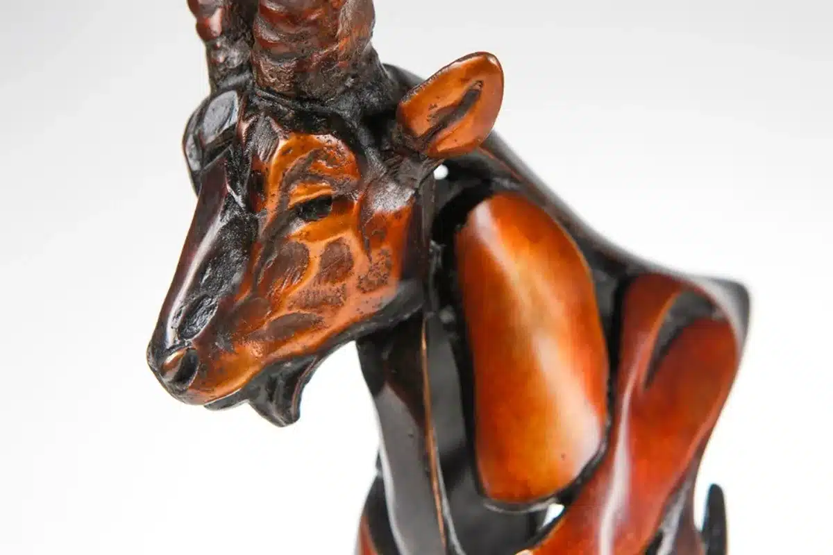 La Fundación Bergara se suma como patrocinador oficial del prestigioso Premio Ricardo Medem impulsado por Cinegética + SCI