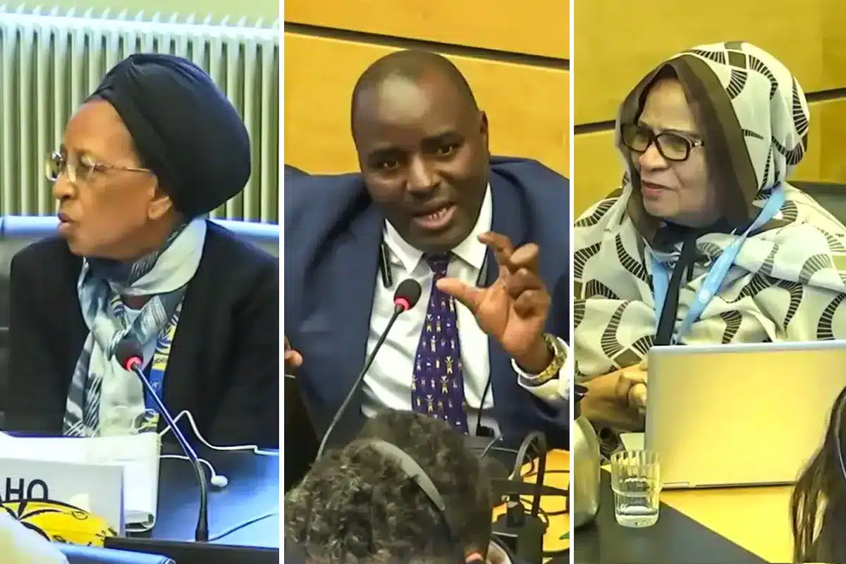 quiénes han cuestionado la presencia de menores en la caza en España ONU