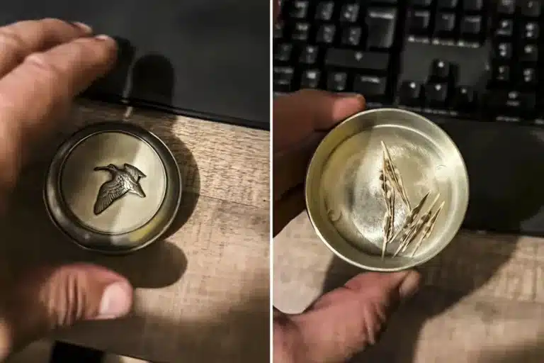 tesoro cazador de becadas pluma del pintor