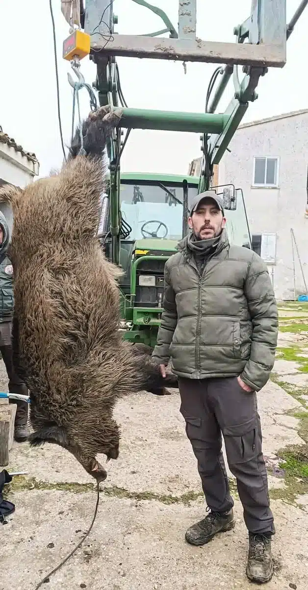 Asier pesando el jabalí.