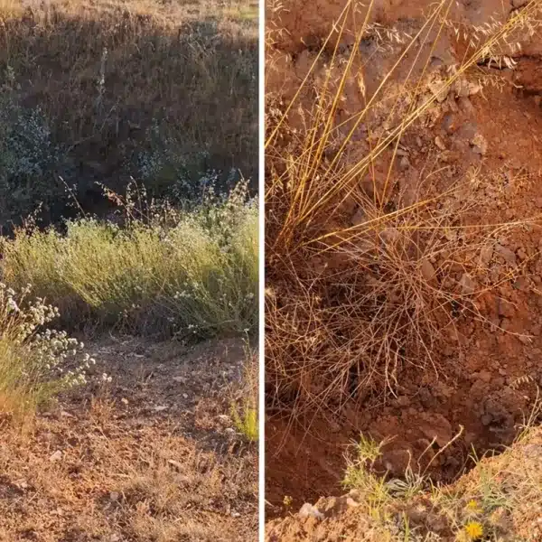 agujeros mitad campo Cuenca tesoro