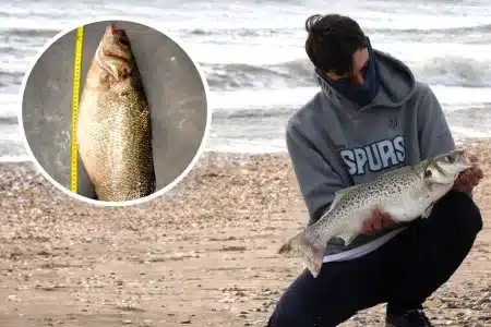 baila 2,3 kilos Huelva