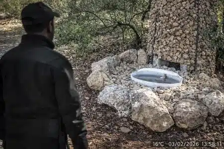 Cámara oculta cazadores