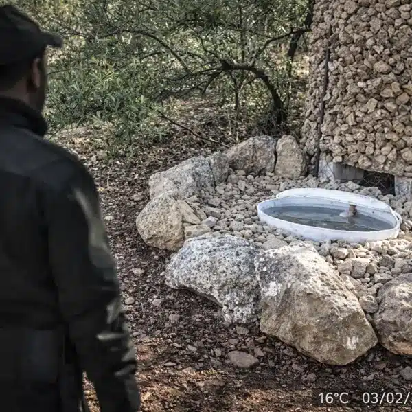 Cámara oculta cazadores