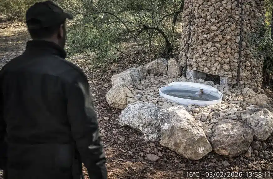 Cámara oculta cazadores