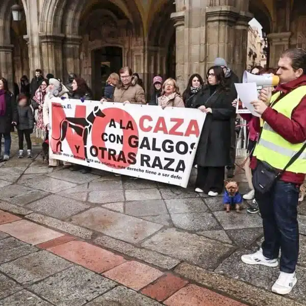 fracaso manifestaciones caza