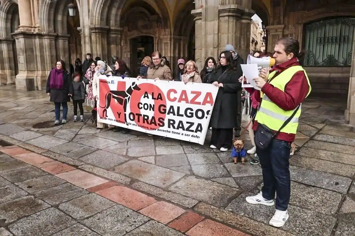 fracaso manifestaciones caza