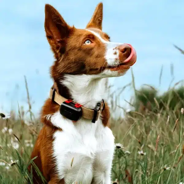 GPS mini 39 gramos ARCEA