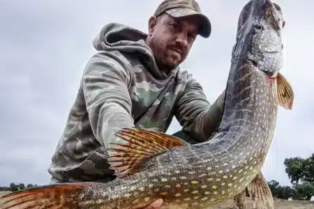 lucio 17 kilos Cáceres