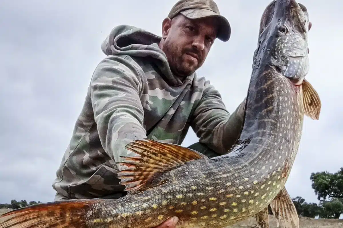 lucio 17 kilos Cáceres