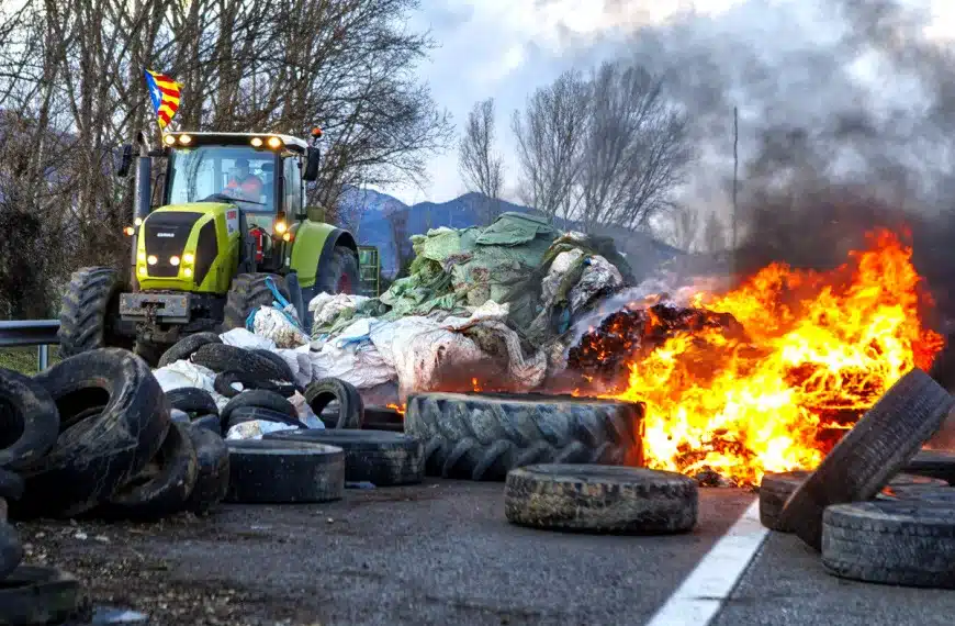 Mercosur agricultores opinión