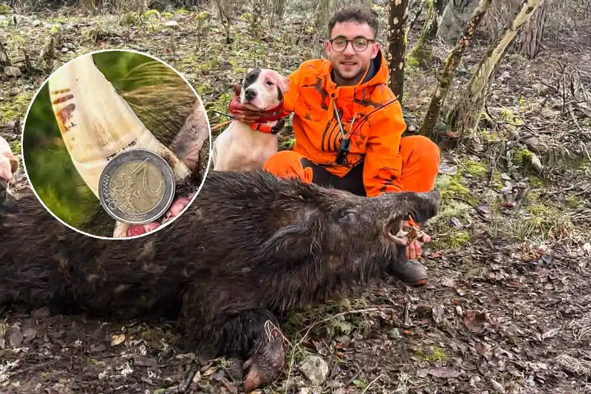 record-de-españa-de-jabali