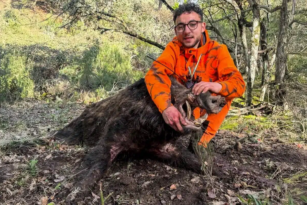 record-de-españa-de-jabali