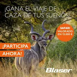 Banner Blaser Safari