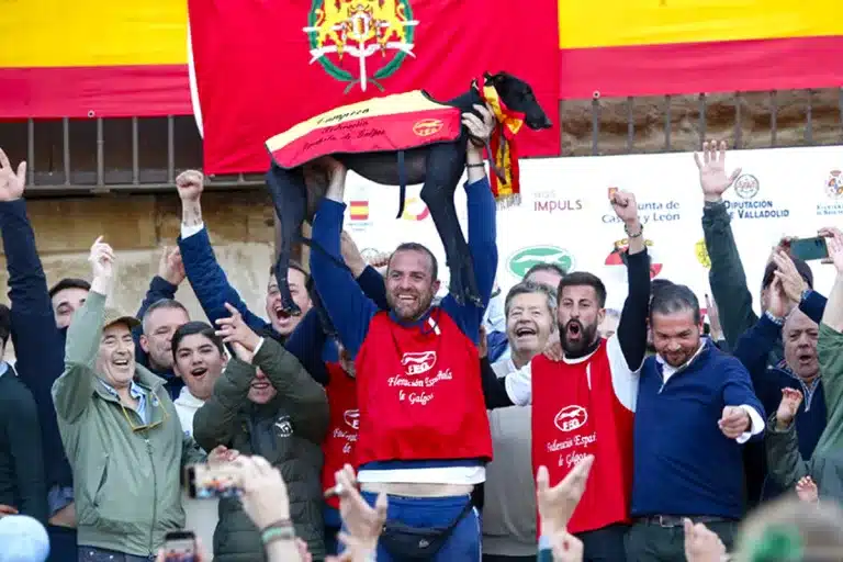 Zaína de Nebrixa campeona de España de Galgos en Campo 2026
