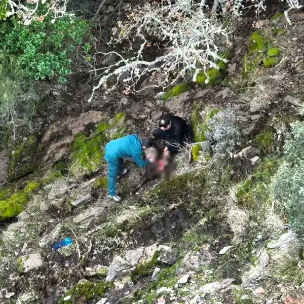 abate ilegalmente cabra montés batida corzo y jabalí