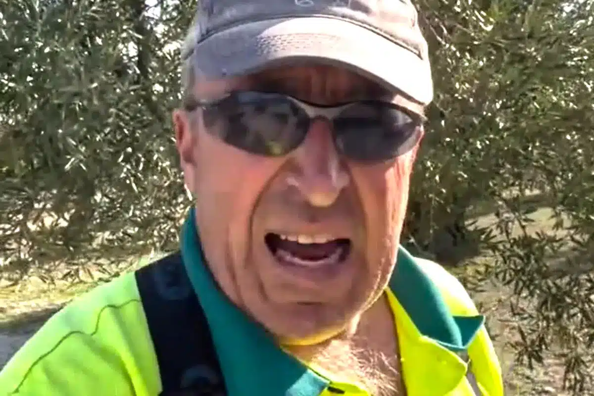 agricultor truco conejos olivos