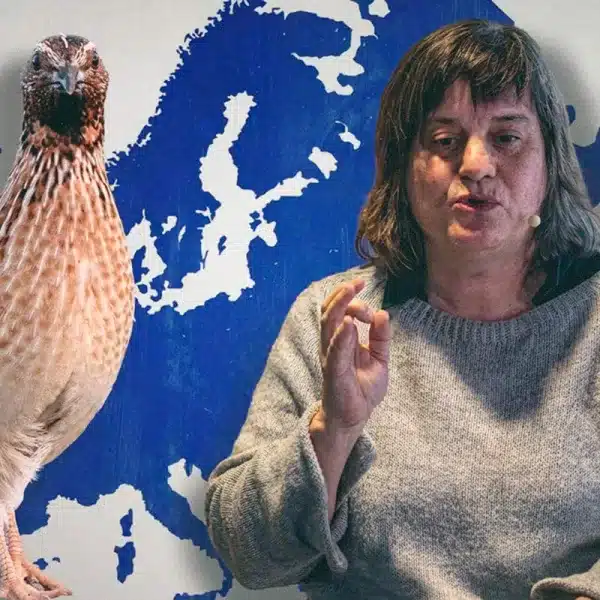 Beatriz Arroyo, miembro del comité científico de SEO/BirdLife y autora del informe español que recomienda restricciones a la caza de la codorniz.