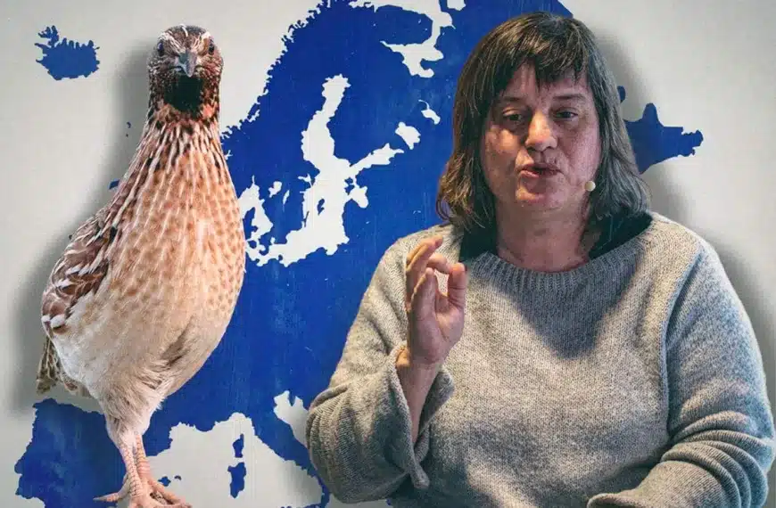 Beatriz Arroyo, miembro del comité científico de SEO/BirdLife y autora del informe español que recomienda restricciones a la caza de la codorniz.