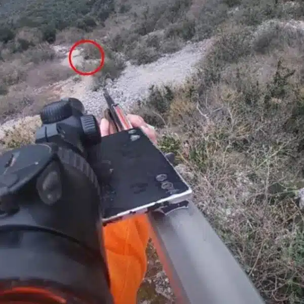 cazador montura especial