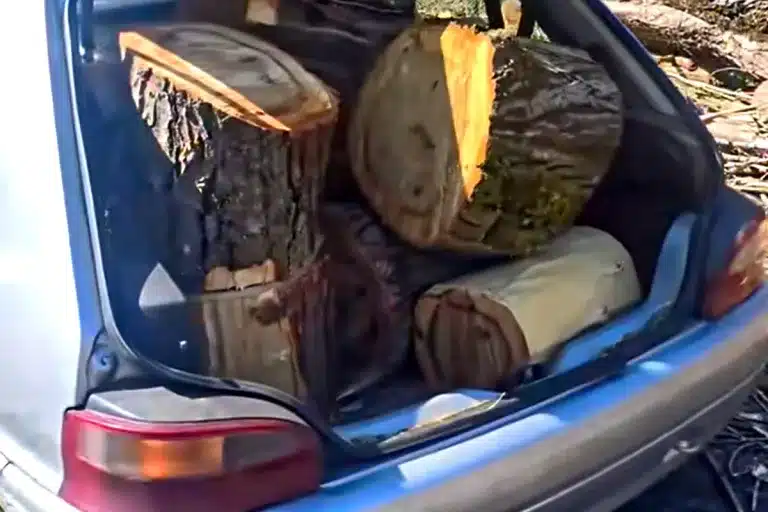 coche duro recoge leña Asturias