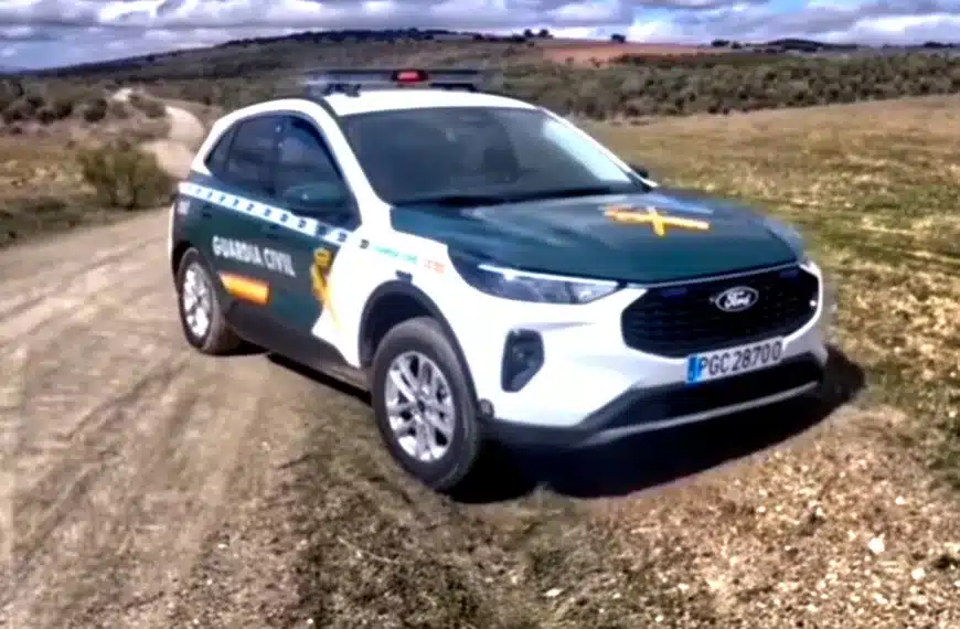 coche Seprona patina