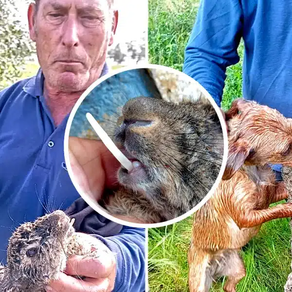 Chato Torres muestra el curioso conejo. © Jonathan Torres