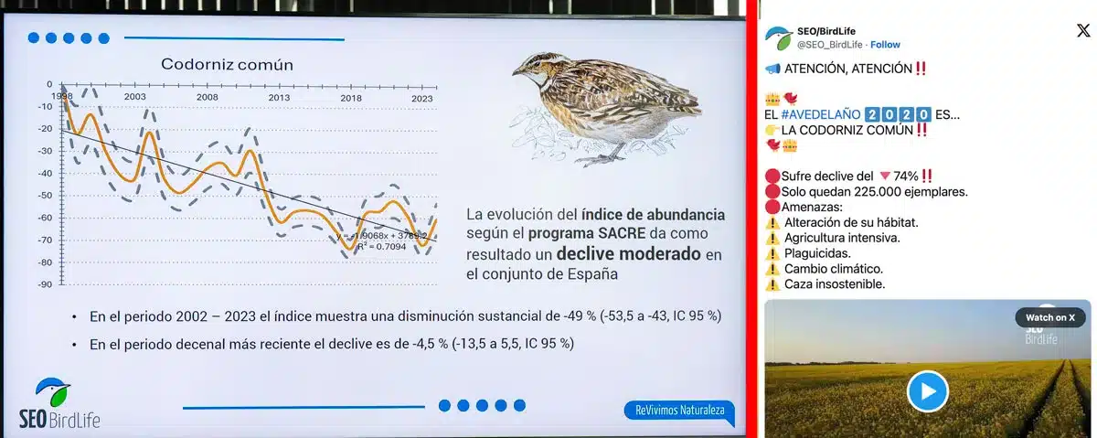 A la izquierda, datos aportados por SEO en el foro. A la derecha, los datos que difundía en 2020 para pedir que se prohibiera su caza.