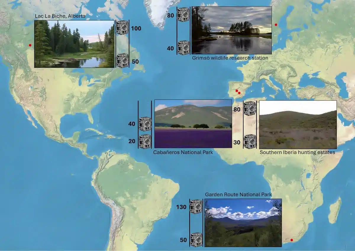 Localización de los experimentos que se han realizado para evaluar los efectos de la altura de la cámara sobre la tasa de captura.