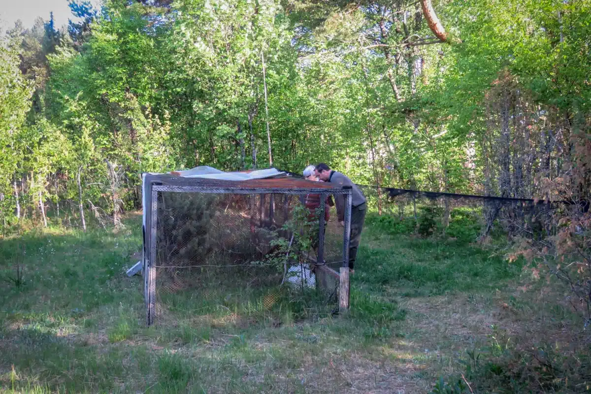 Otra estación ornitológica.