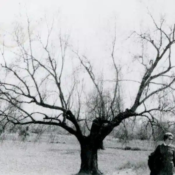 helada histórica 1956