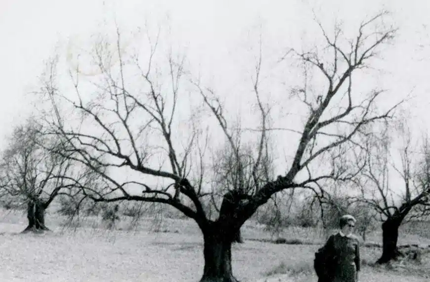 helada histórica 1956