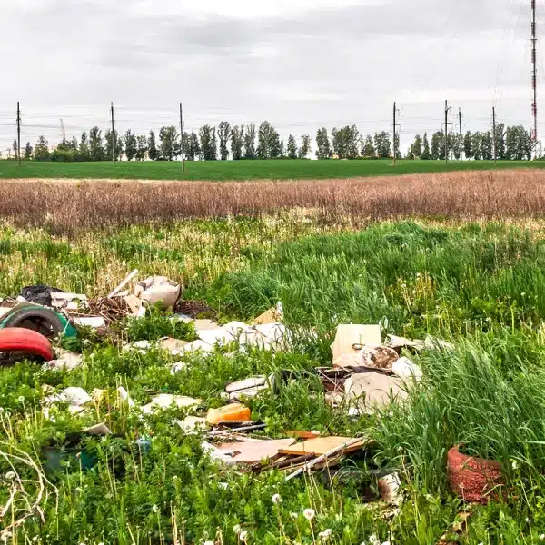 infracciones medioambientales más comunes en España