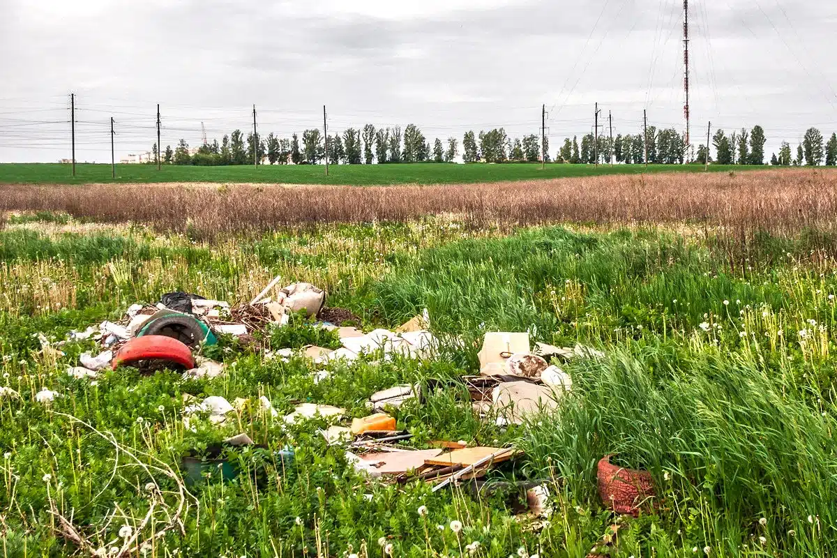 infracciones medioambientales más comunes en España
