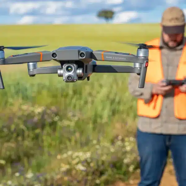 Un cazador con un dron térmico para localizar corcinos durante la cosecha.