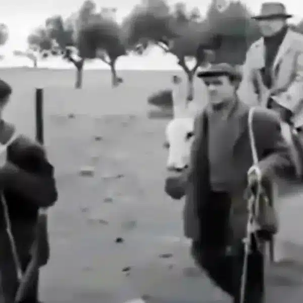 monterías en España hace 80 años