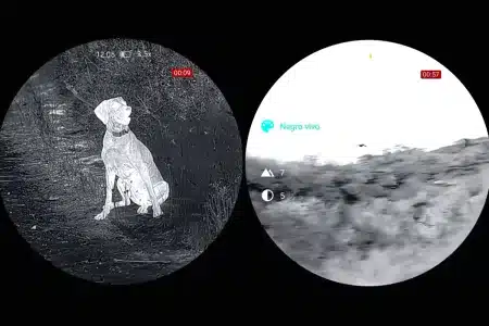 Nocpix ojeo de perdices