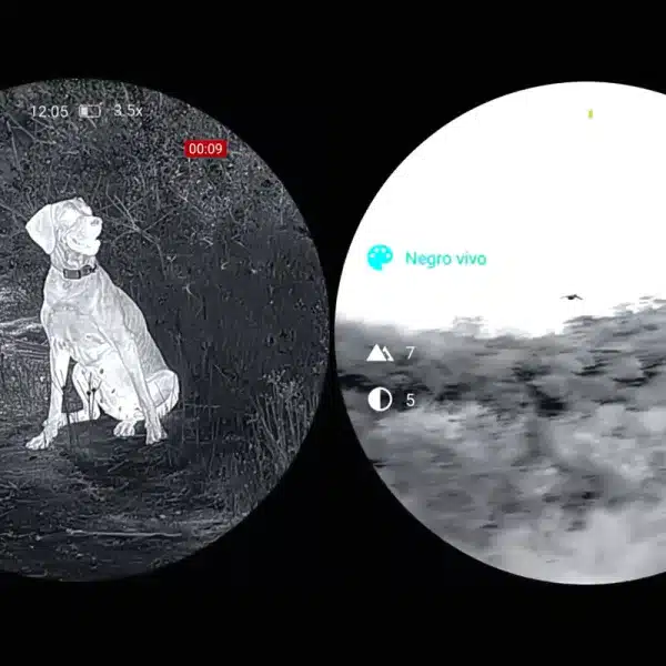 Nocpix ojeo de perdices