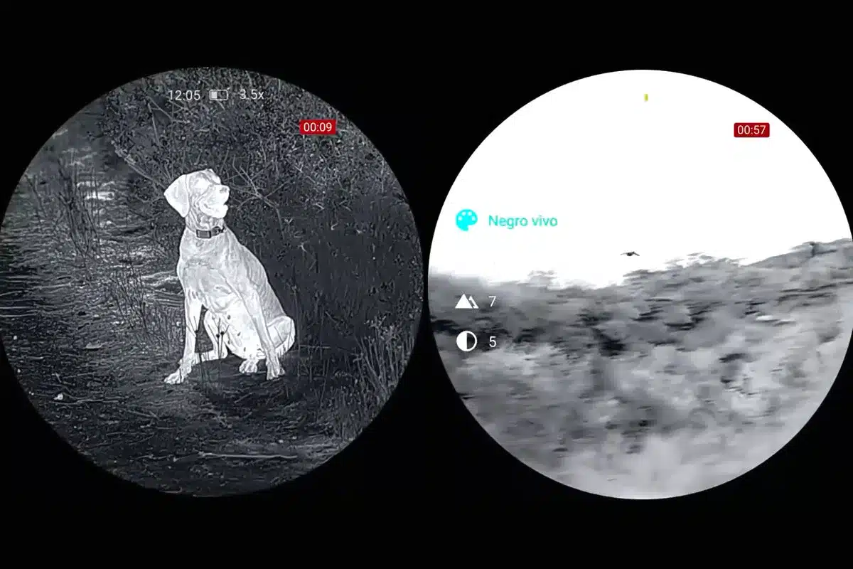 Nocpix ojeo de perdices