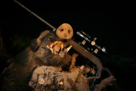 Sensores 5K y telémetro integrado: así es la nueva generación de visores nocturnos PARD que podrás ver en Cinegética