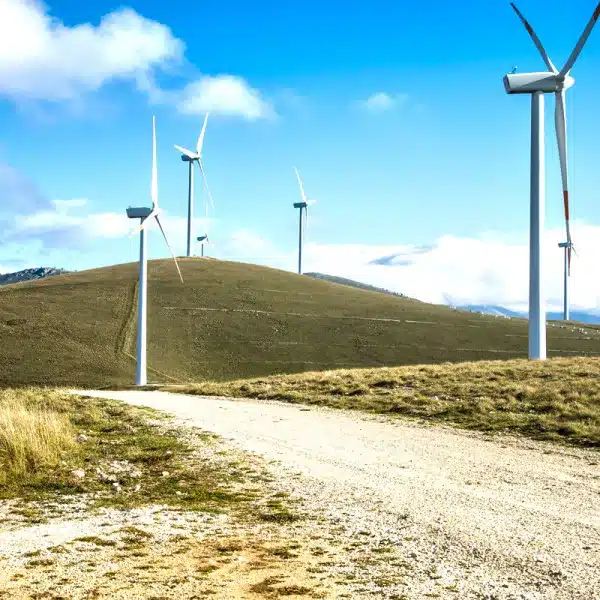 parque eólico