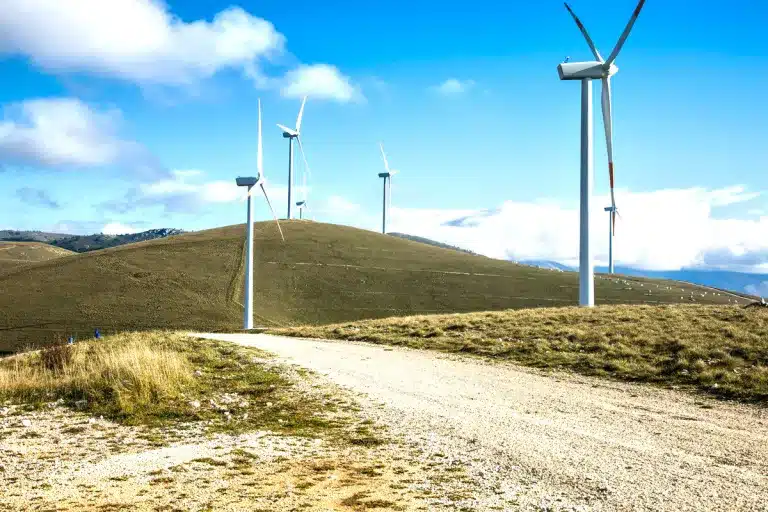 parque eólico