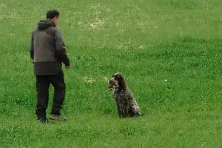 Así ha sido la primera gran prueba de 2026 del perdiguero de Burgos en Albacete