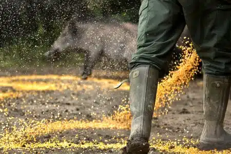 plan furtivos alimentar zona